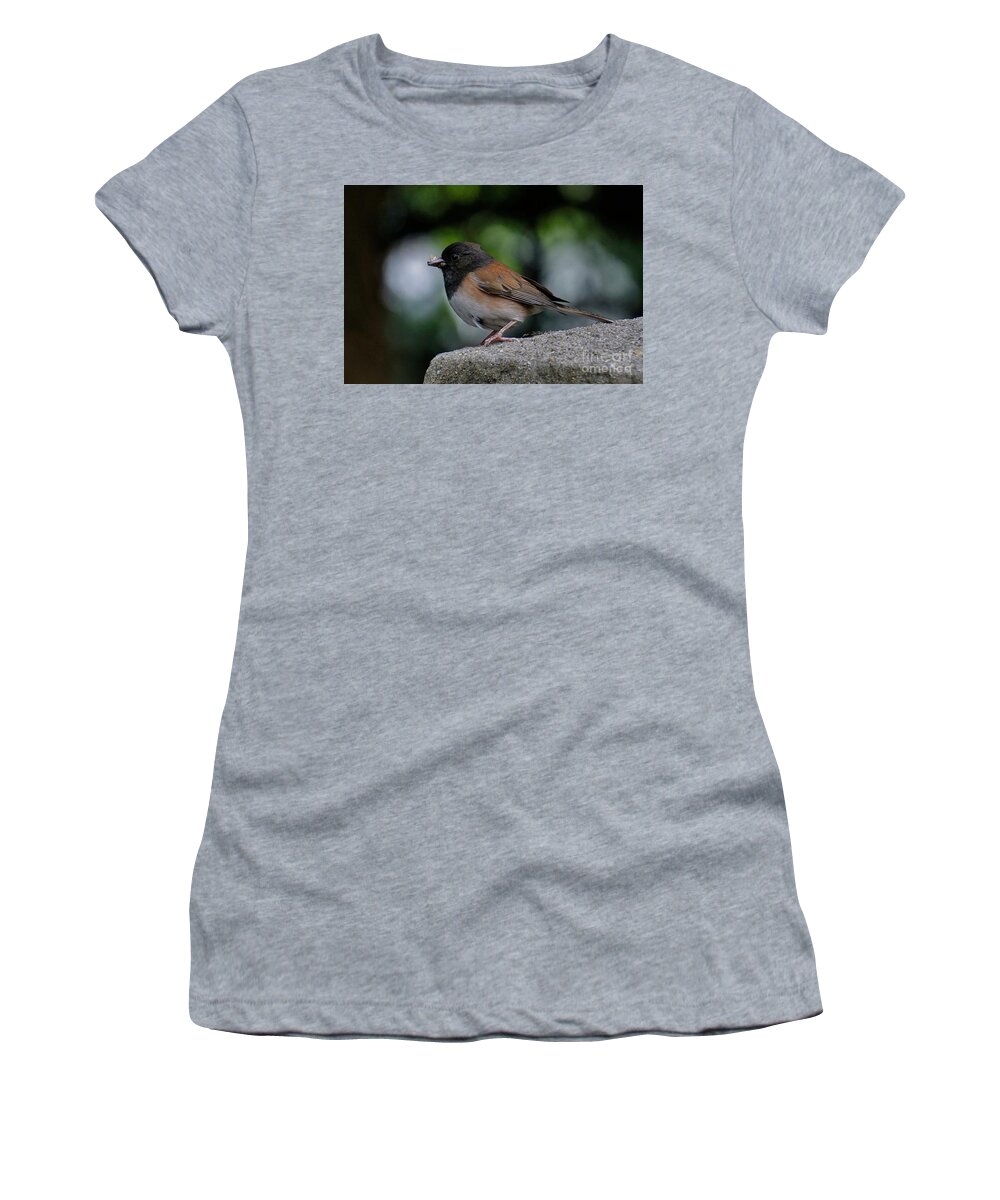 Dark Eyed Junco Women's T-Shirt featuring the photograph Caught by Tony Lee