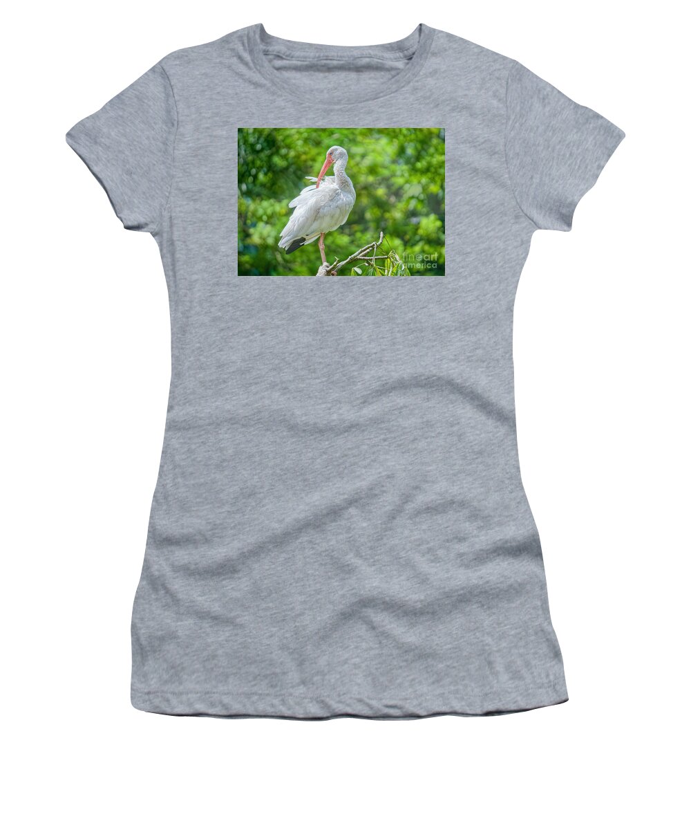 Ibis Women's T-Shirt featuring the photograph Check Me Out by Judy Kay