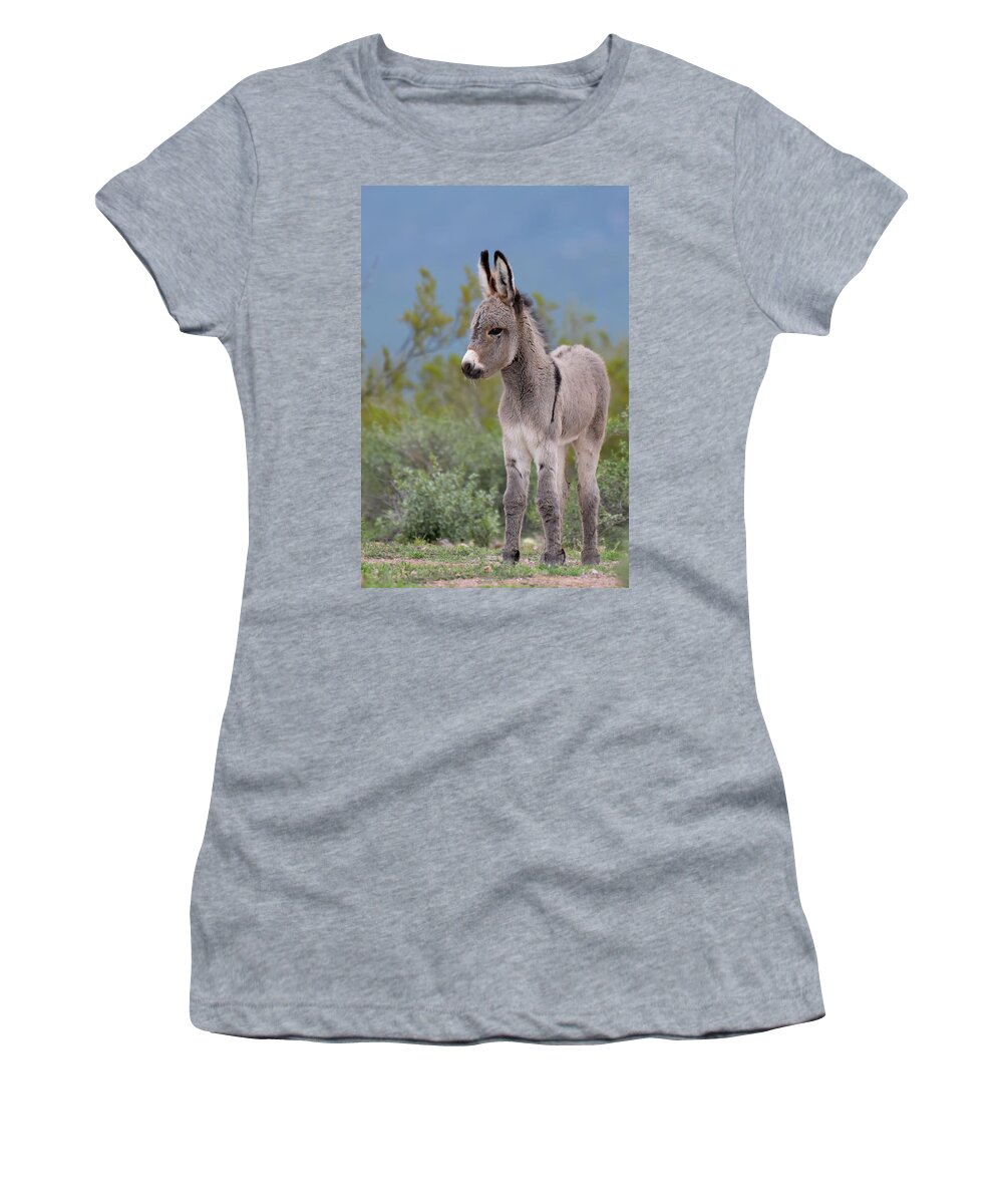 Wild Burro Women's T-Shirt featuring the photograph Checking out the World by Mary Hone