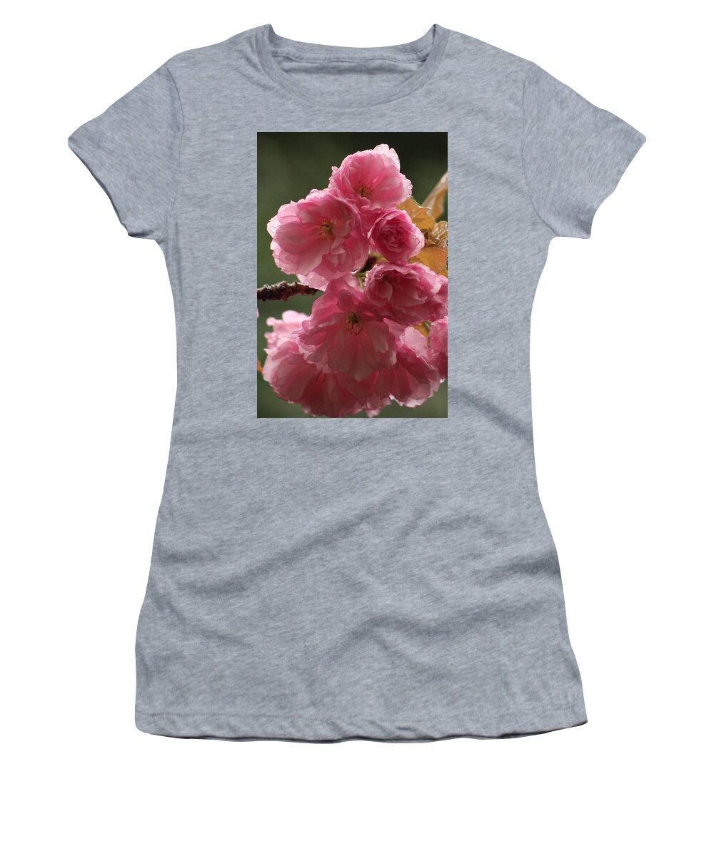 Jane Ford Women's T-Shirt featuring the photograph Cherry Blossom after rain by Jane Ford