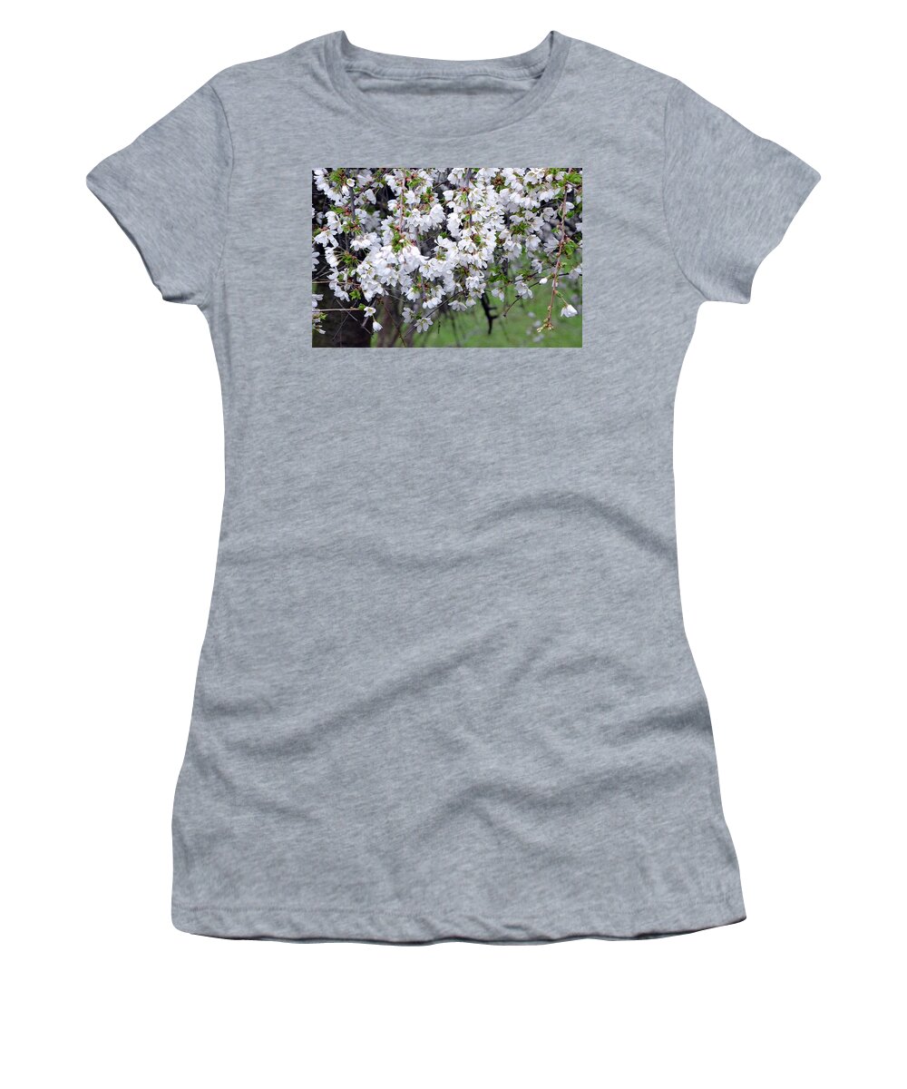  Women's T-Shirt featuring the photograph Cherry blossom 3 by Harsh Malik