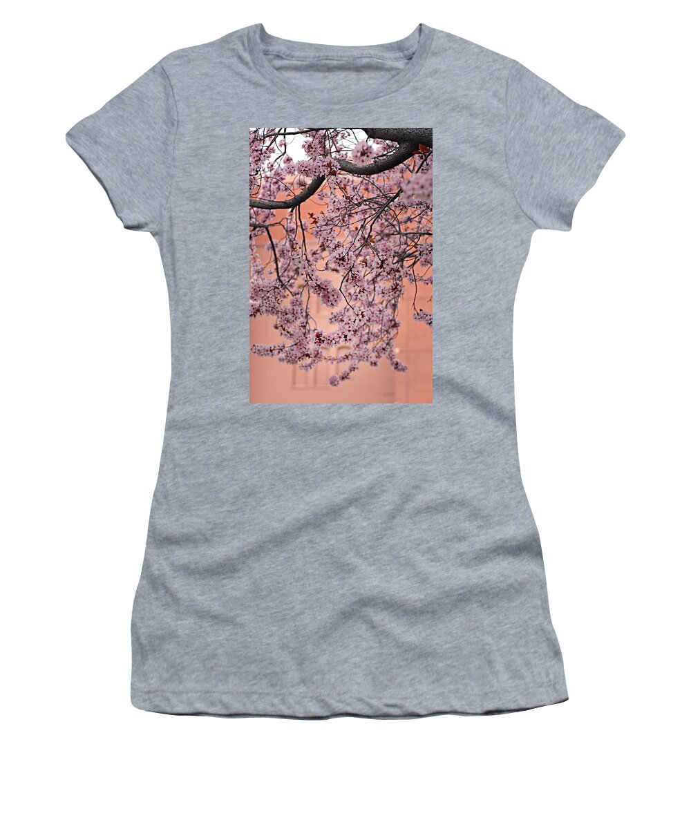 Nature Women's T-Shirt featuring the photograph Cherry Blossom Spring Blooms by Bonnie Colgan