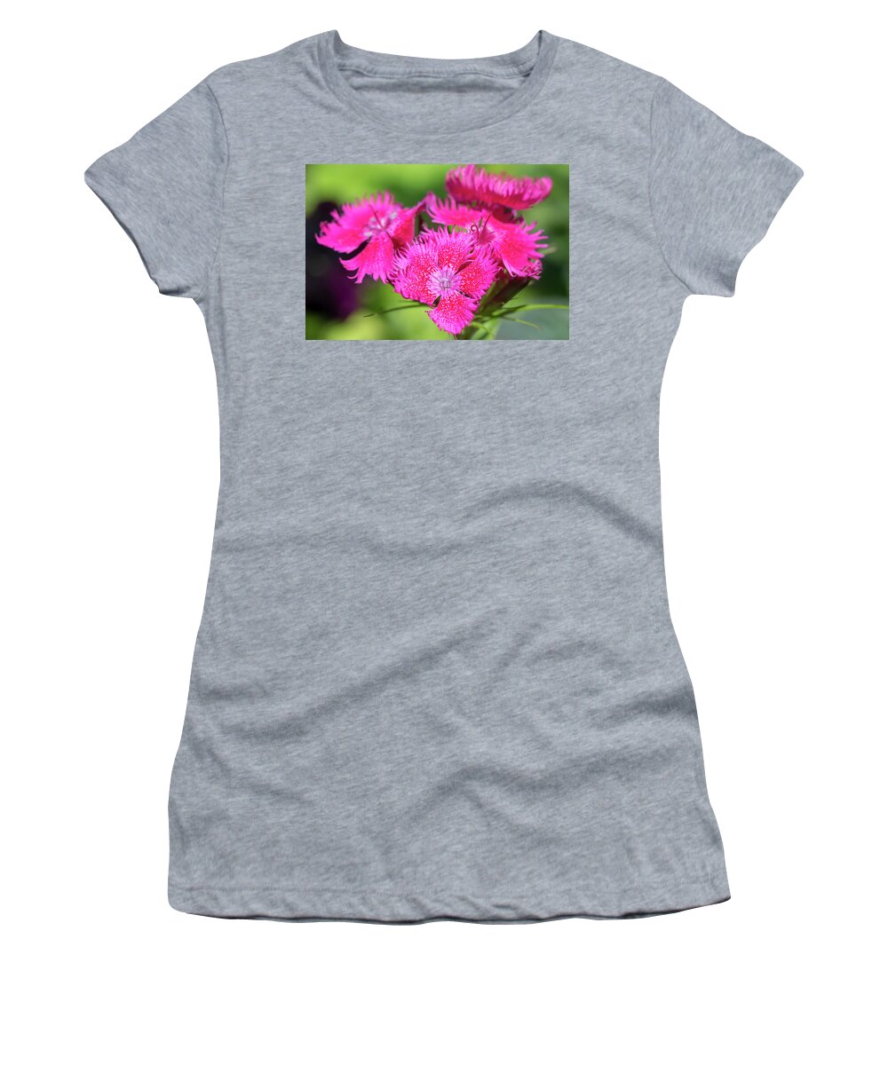 Flower Women's T-Shirt featuring the photograph China Pink by Dawn Cavalieri