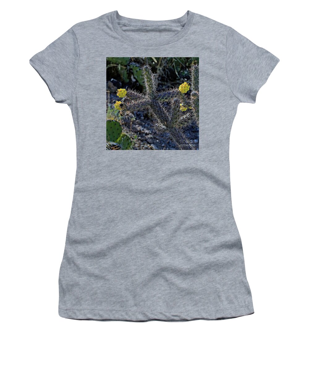 Jon Burch Women's T-Shirt featuring the photograph Cholla Cactus Blossoms by Jon Burch Photography