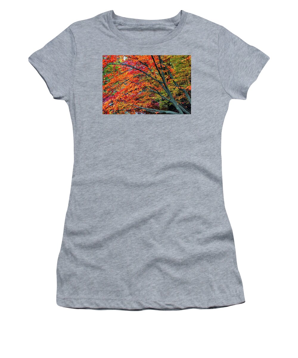 Autumn Women's T-Shirt featuring the photograph Flickering Foliage by Jessica Jenney