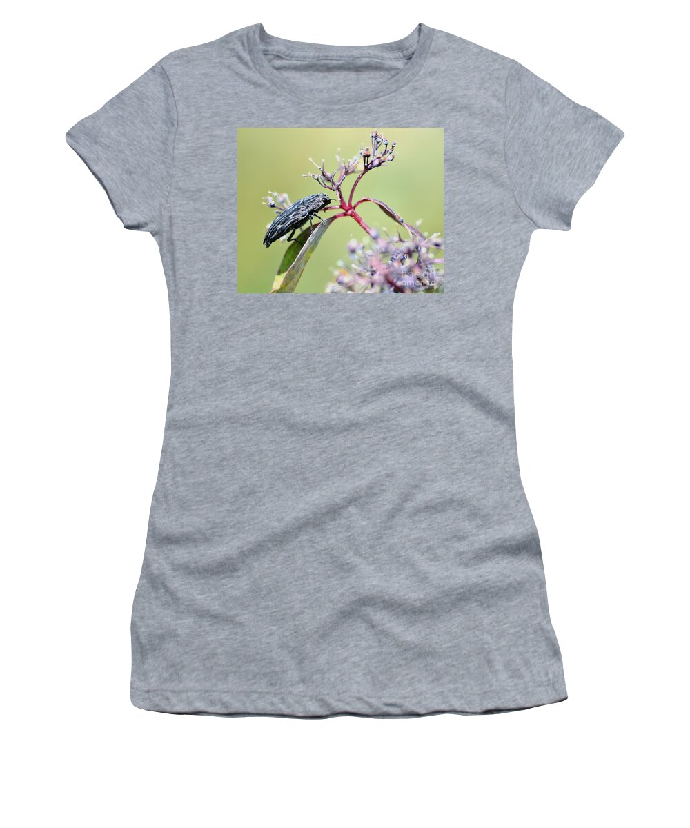 Bug Women's T-Shirt featuring the photograph Color Match - Bug and plant by Kae Cheatham