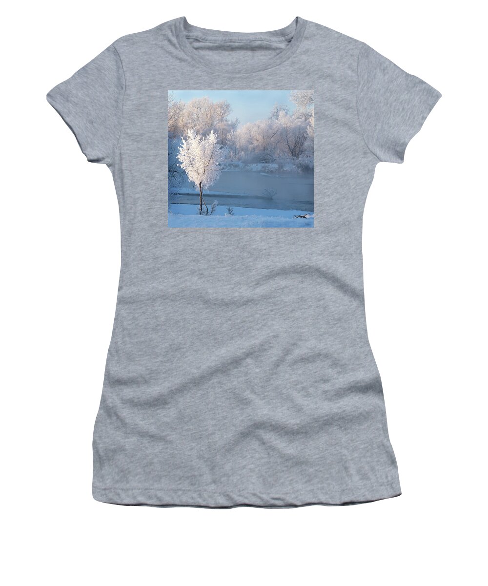 Winter Women's T-Shirt featuring the photograph Colorado White Magic by Judi Dressler