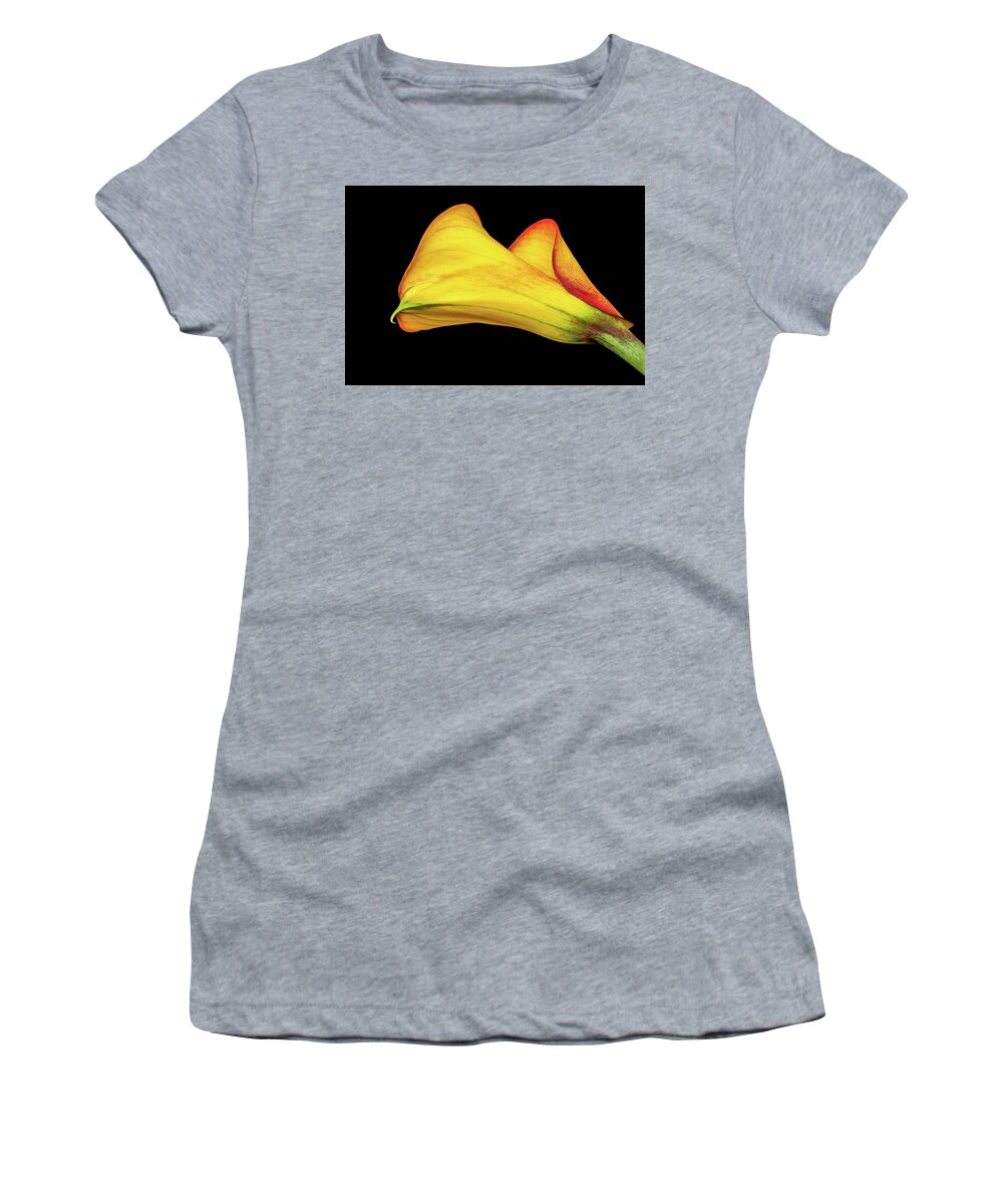 Calla Lily Women's T-Shirt featuring the photograph Colorful Elegance by Elvira Peretsman