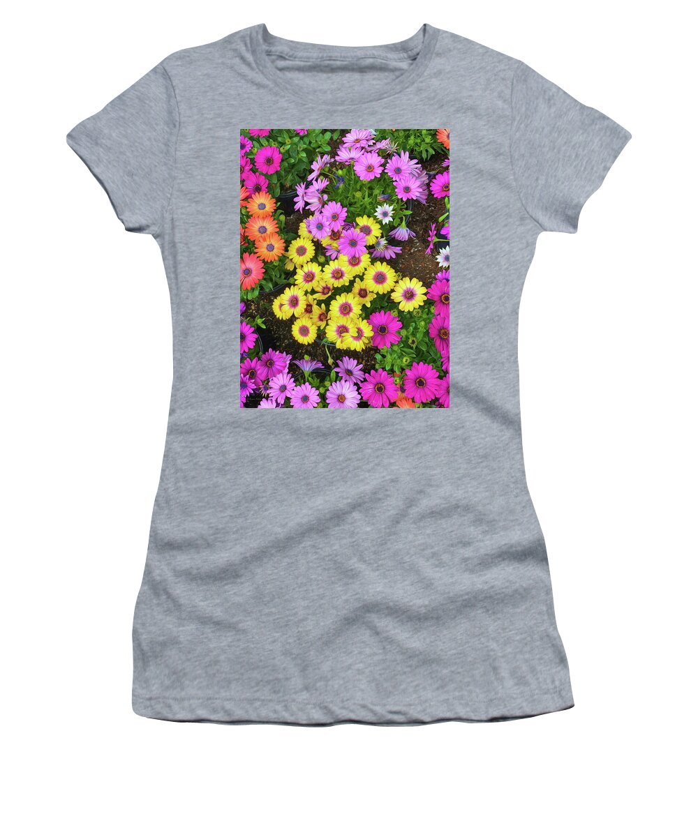 Daisy Women's T-Shirt featuring the photograph Colorful Spring Daisies by Bonnie Follett