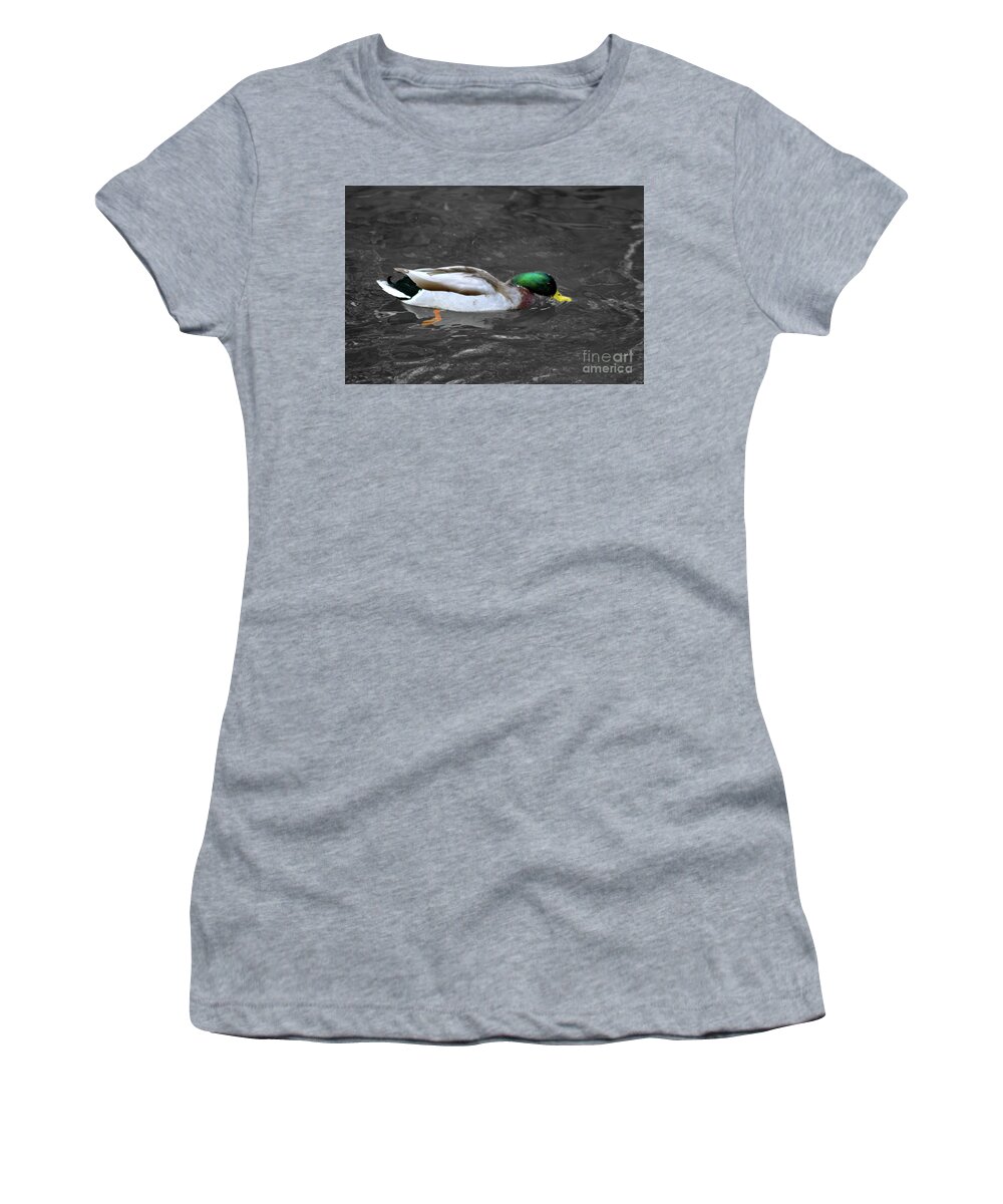 Mallard Duck Women's T-Shirt featuring the photograph Colour selective of male Mallard duck by Pics By Tony