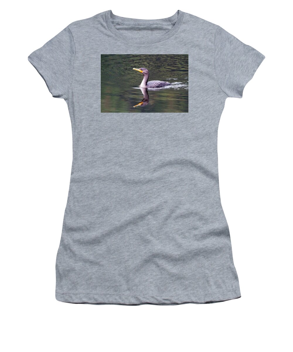 Comorant Women's T-Shirt featuring the photograph Comorant Reflects by Karol Livote