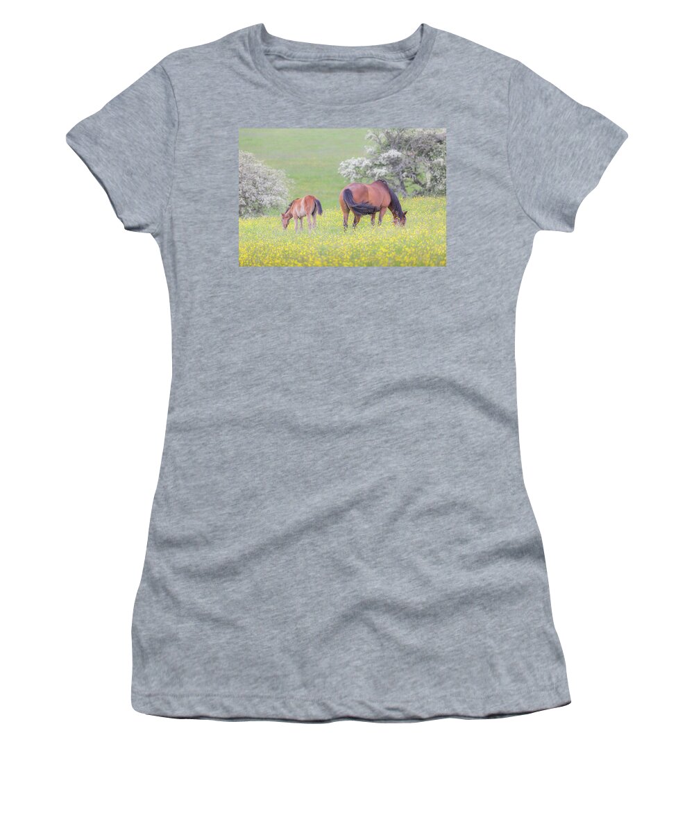 Horses Women's T-Shirt featuring the photograph Contentment - Mare and Foal in a meadow by Anita Nicholson
