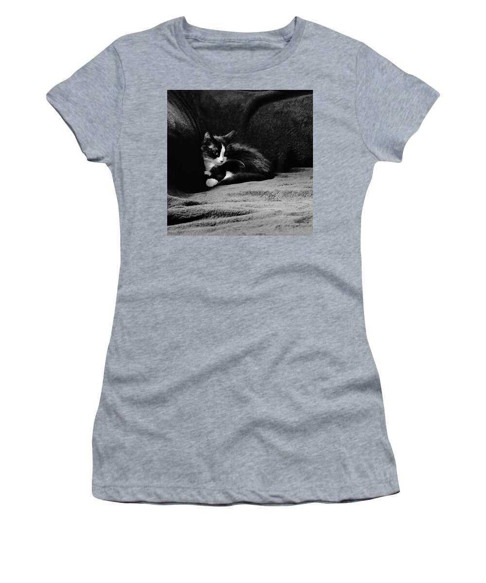 Kitten Women's T-Shirt featuring the photograph Cozy time kitty by Shalane Poole