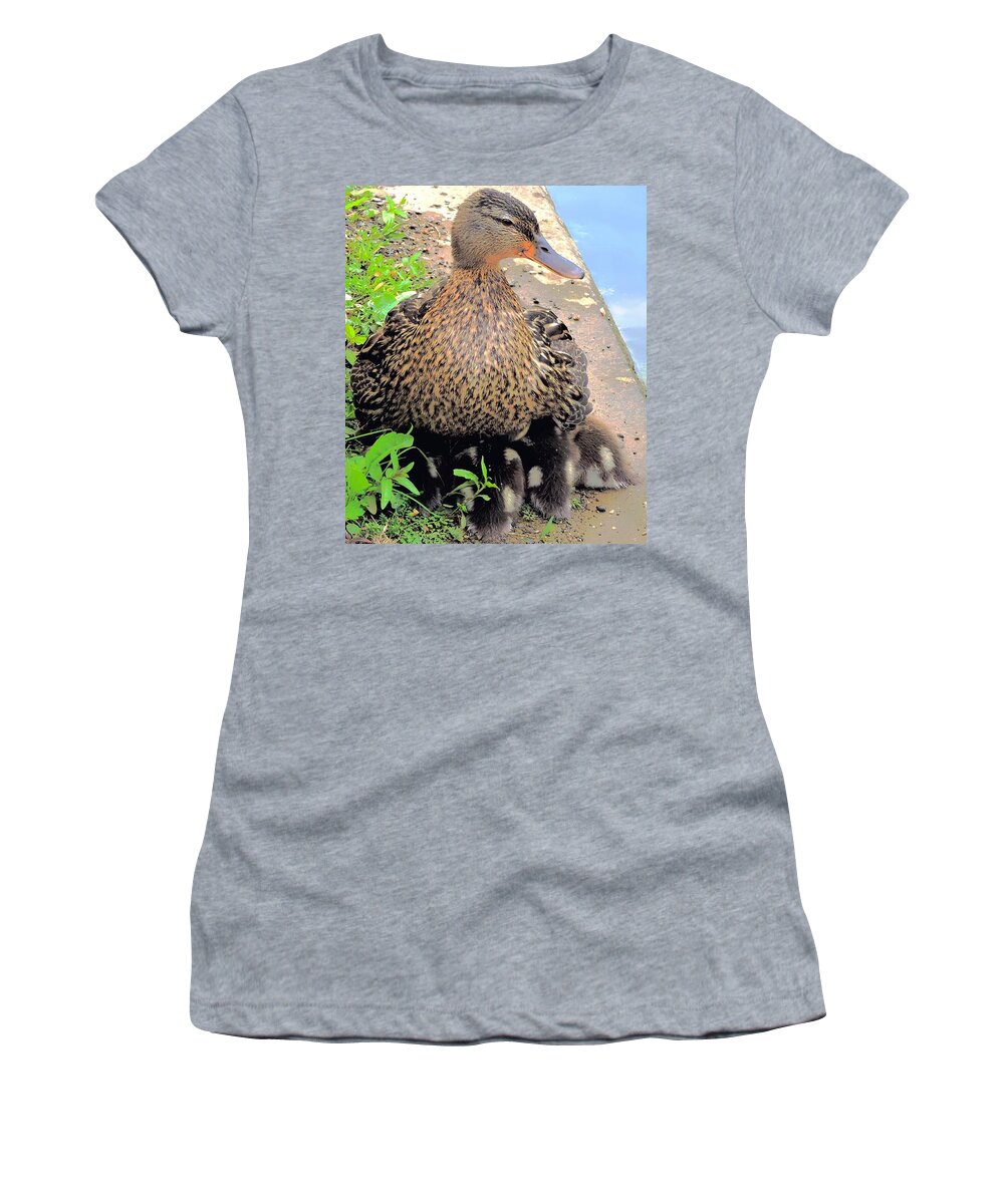 Ducks Women's T-Shirt featuring the photograph Cuddling As The Clouds Roll By by Tami Quigley