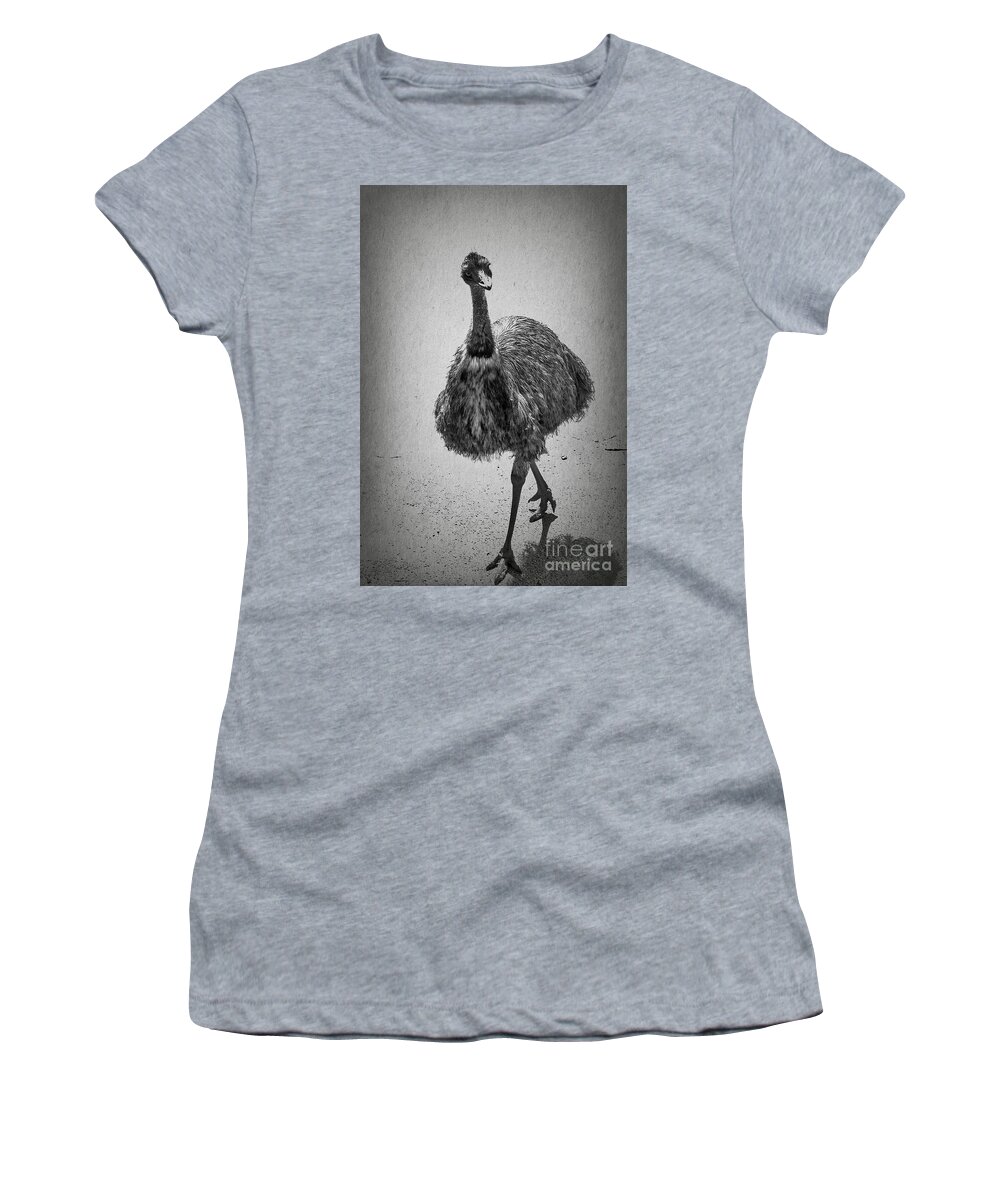 Emu Women's T-Shirt featuring the photograph Curious Emu by Elaine Teague