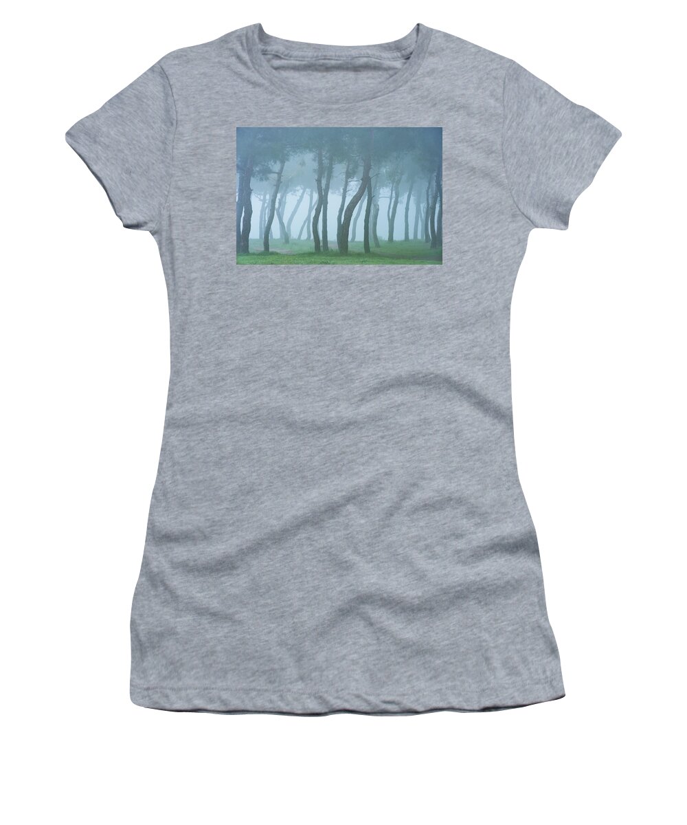Pine Trees Women's T-Shirt featuring the photograph Curved Pine Trees Forest in the Fog by Alexios Ntounas