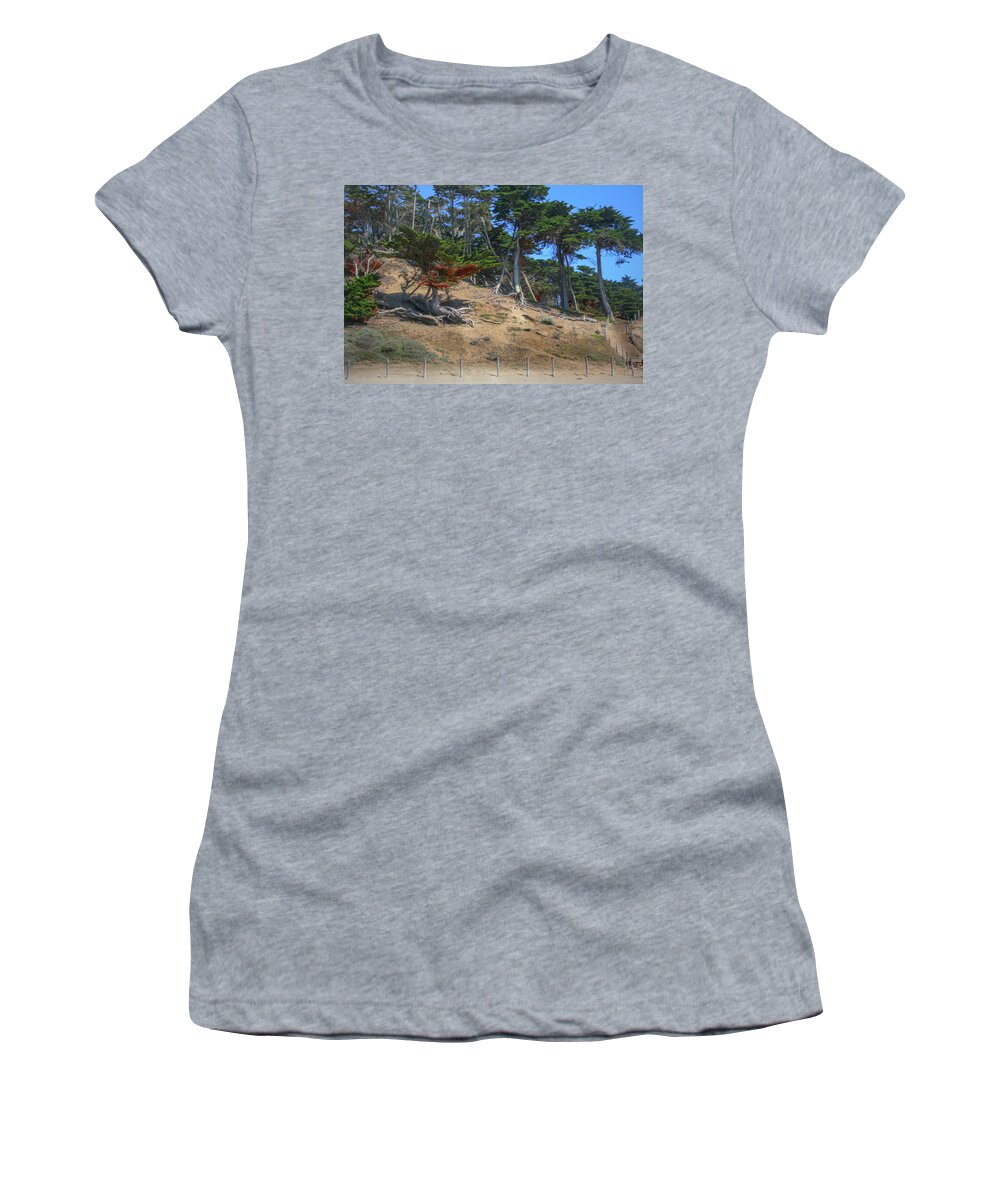Cypress Women's T-Shirt featuring the photograph Cypress Trees by Sally Bauer