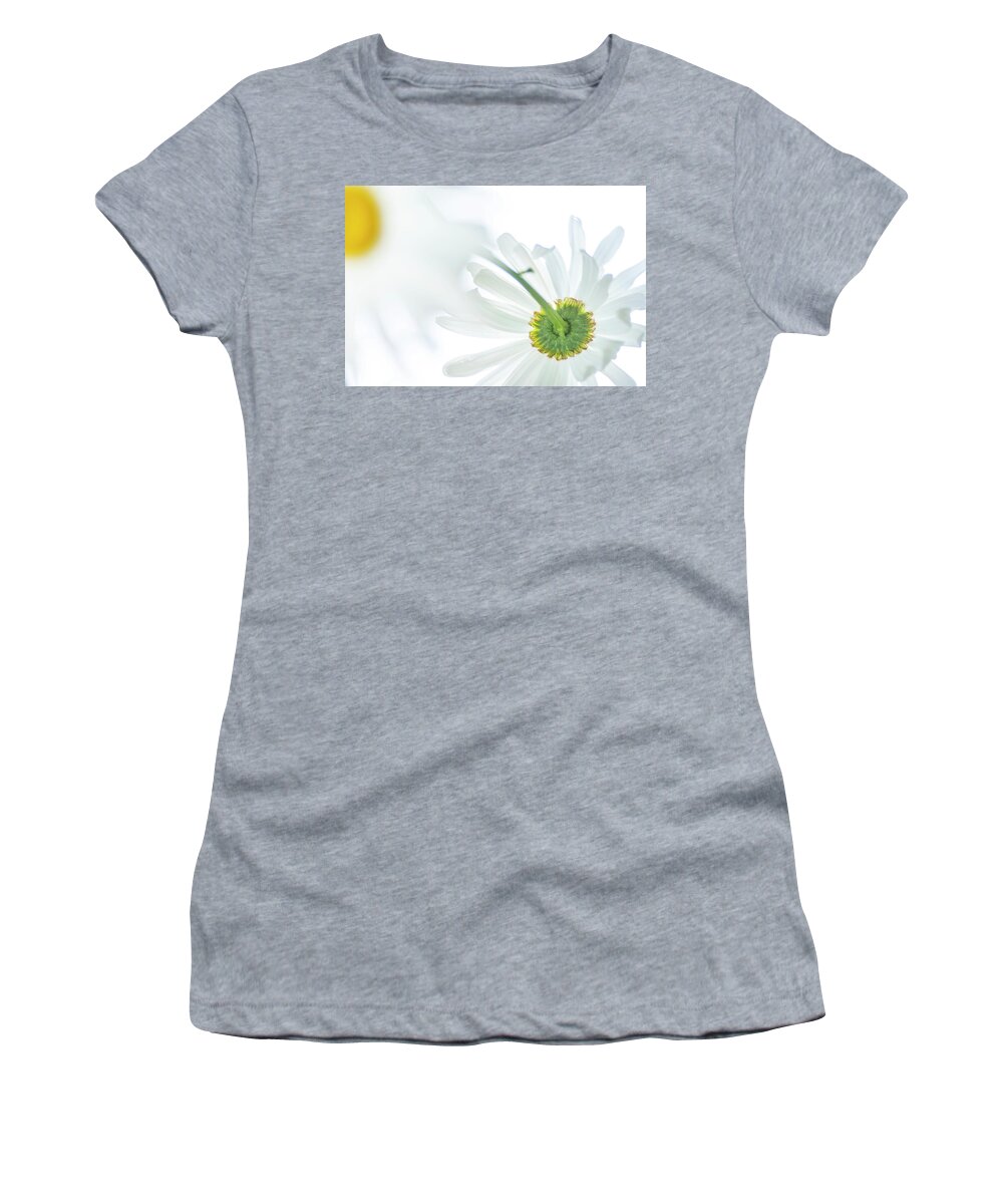 Daisy Women's T-Shirt featuring the photograph Daisy in a Mirror by Kathy Paynter