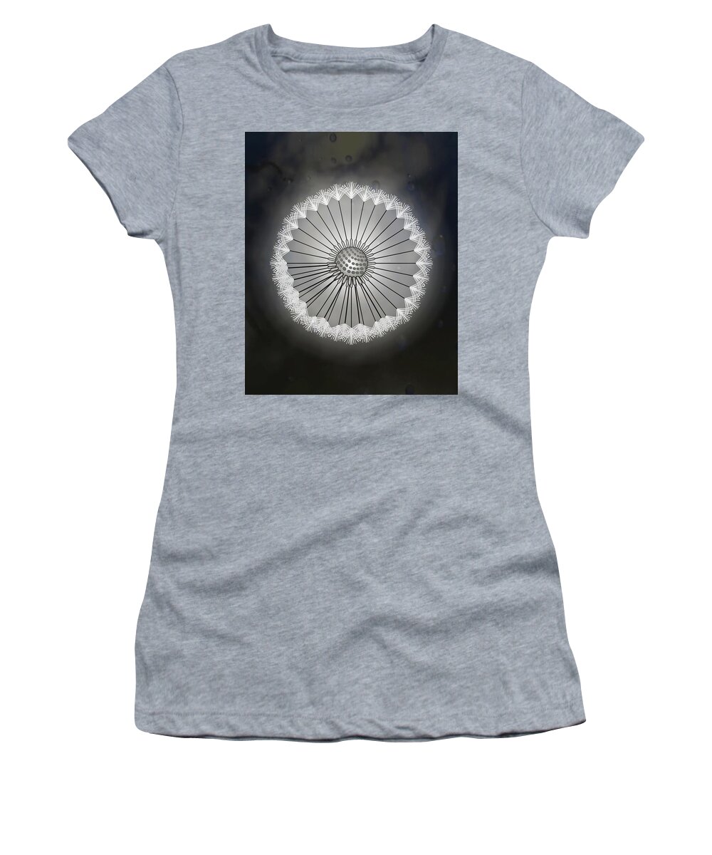Dandelion Women's T-Shirt featuring the drawing Dandelion Seed Head Black And White Abstract Rain Droplets by Joan Stratton