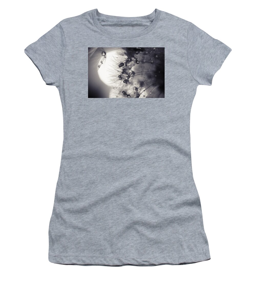 Dandelion Women's T-Shirt featuring the photograph Dandelion tears by Marianna Mills