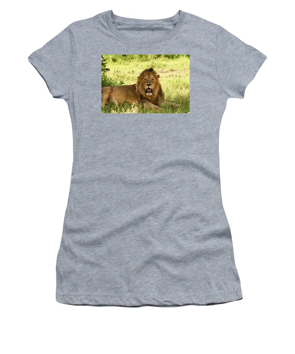 Wild Plains Women's T-Shirt featuring the photograph Dark Mane In Gold Plains by Moodie Shots