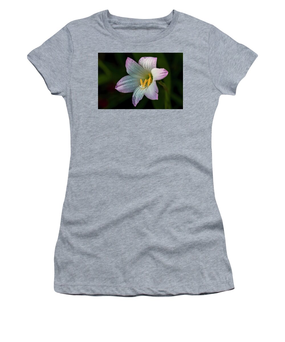  Women's T-Shirt featuring the photograph Day Lilly by Lou Novick