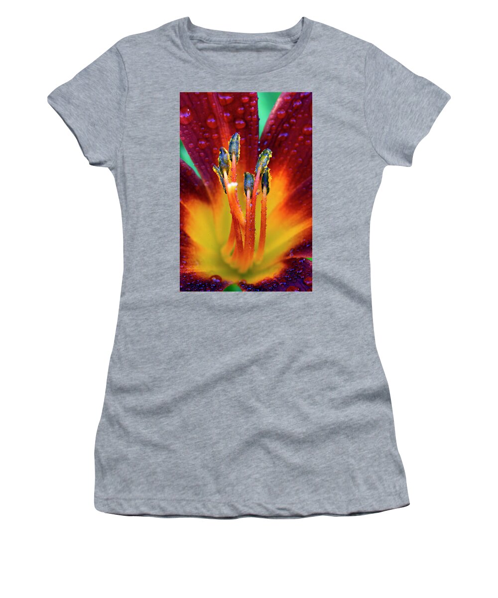 Day Women's T-Shirt featuring the photograph Day Lily with Dew by Gary Langley