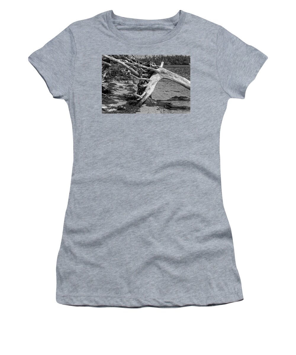 Dead Wood Women's T-Shirt featuring the photograph Deadwood by the Beach by Alan Goldberg