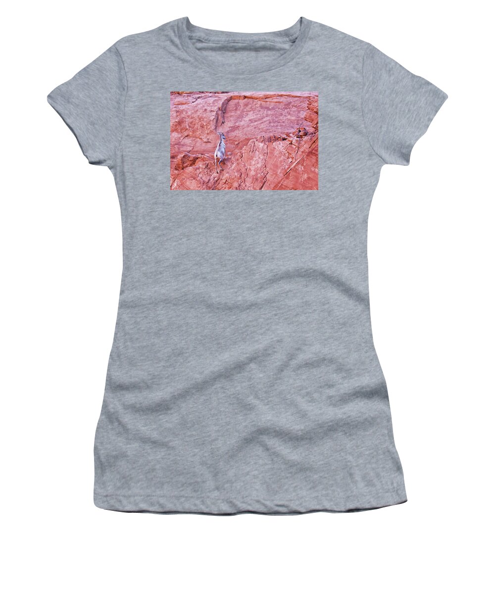 Nature Women's T-Shirt featuring the photograph Desert Bighorn Sheep at Valley of Fire by Tatiana Travelways