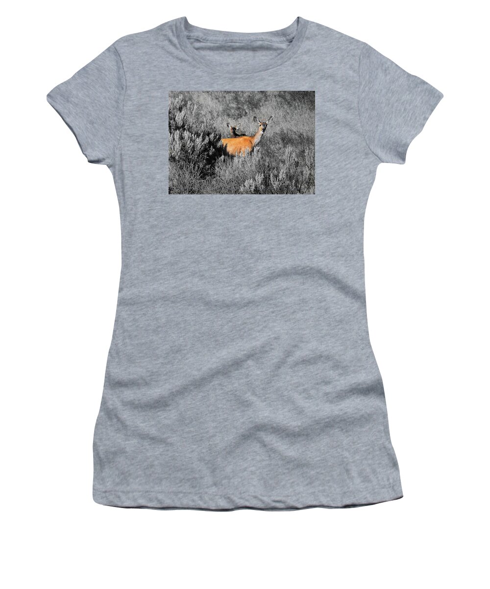 Doe And Fawn Women's T-Shirt featuring the digital art Doe and fawn by Fred Loring