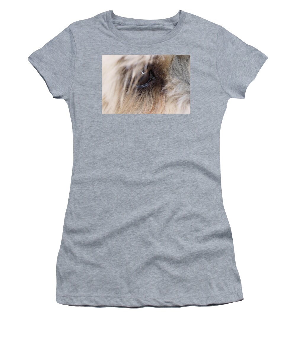 Dog Women's T-Shirt featuring the painting Dog's eye by Sv Bell
