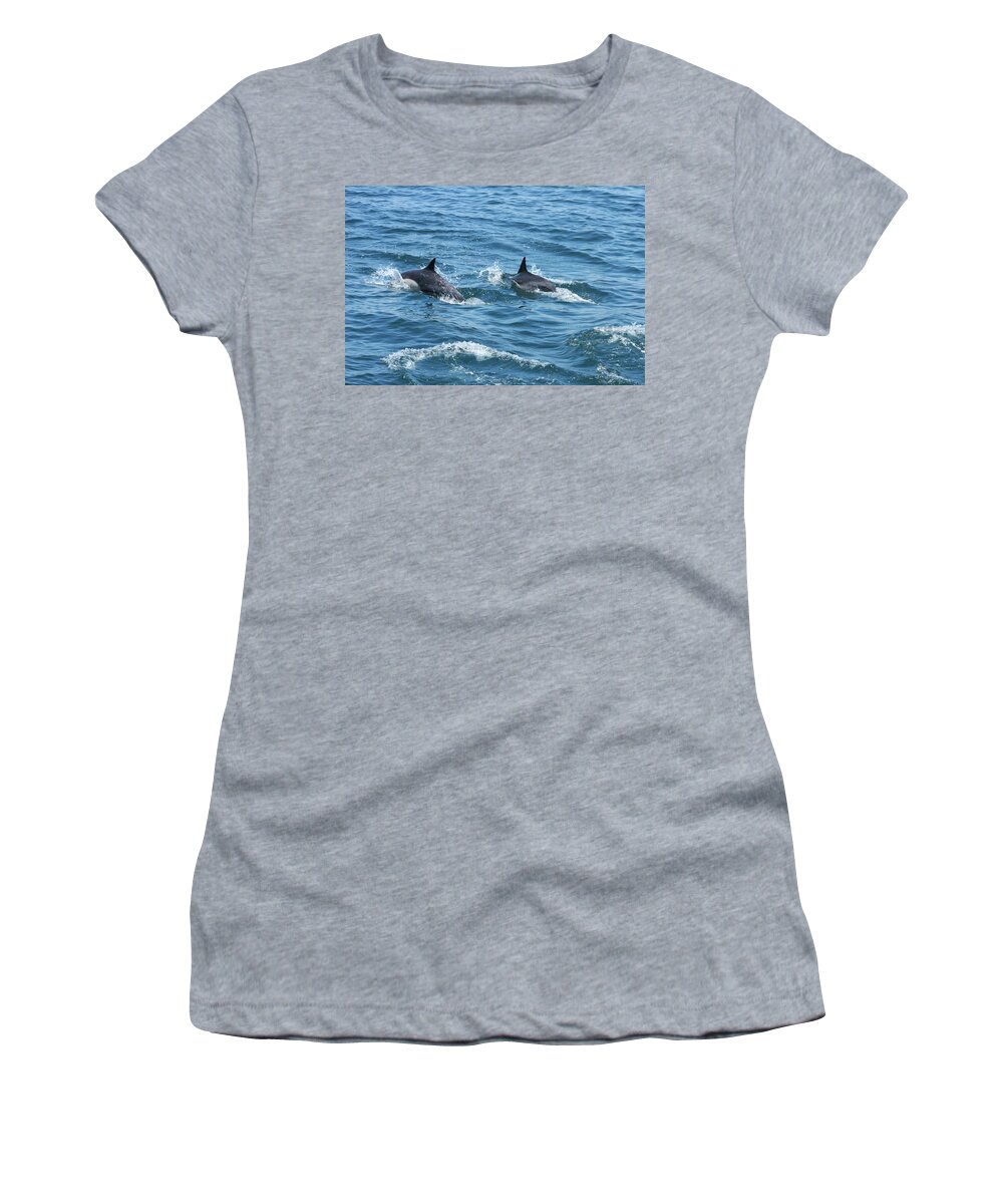 Dolphins Women's T-Shirt featuring the photograph Dolphin 4 by Robert Hebert