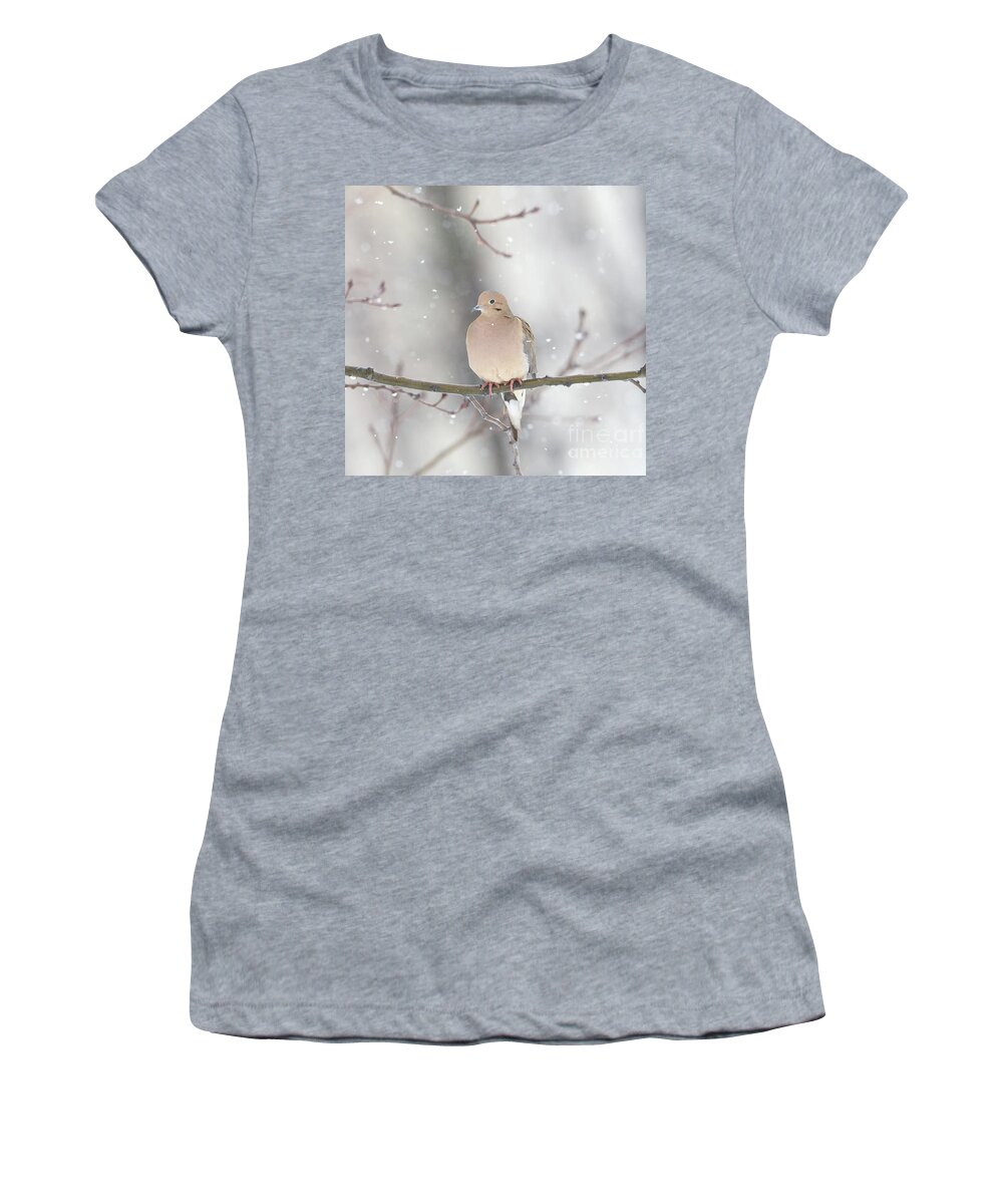 White Christmas Women's T-Shirt featuring the photograph Dove In The Snow by Rehna George