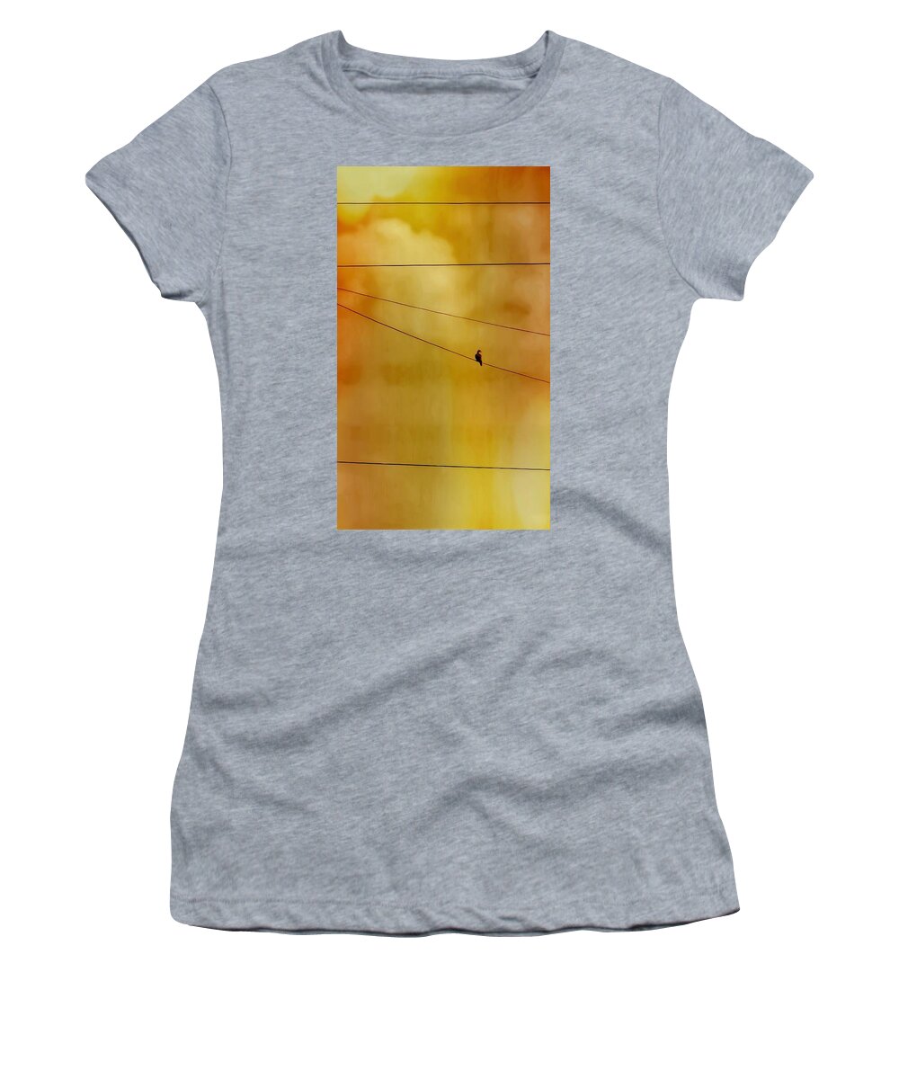 Perching Women's T-Shirt featuring the photograph Dove on a Wire - Gold by Judy Kennedy