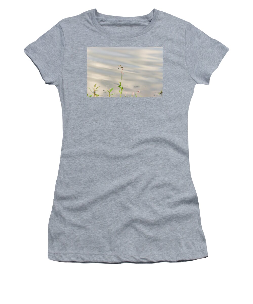 Flower Women's T-Shirt featuring the photograph Dragonfly at the Lake by Amelia Pearn