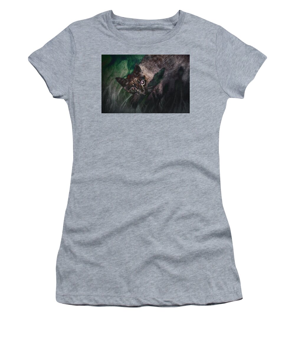 Photography Women's T-Shirt featuring the photograph Dreams of the Wild by Craig Boehman