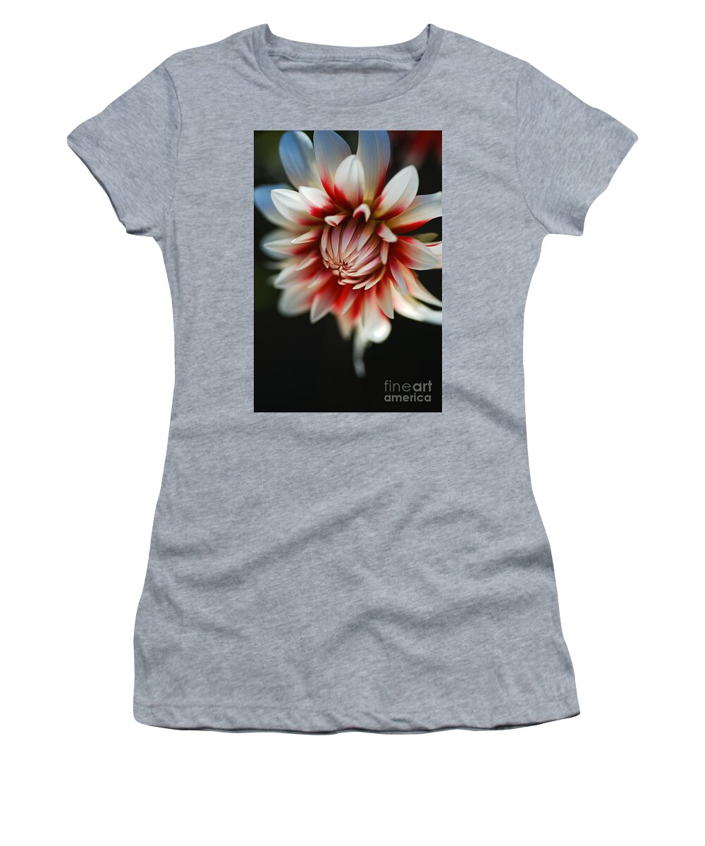 Barbershop Flower Women's T-Shirt featuring the photograph Dreamy Dahlia Fire And Ice by Joy Watson
