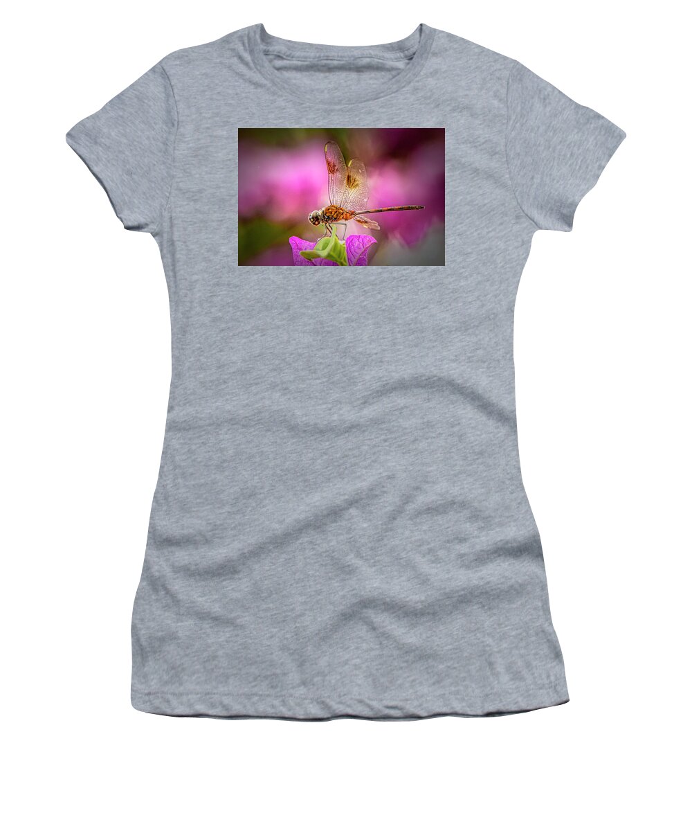 Dragonfly Women's T-Shirt featuring the photograph Dreamy Dragonfly by Don Durfee