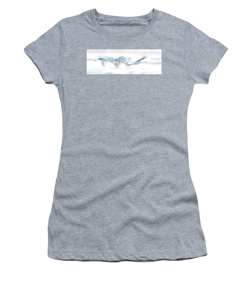 Sandhill Cranes Women's T-Shirt featuring the photograph Dreamy Sandhill Crane Flight by Judi Dressler