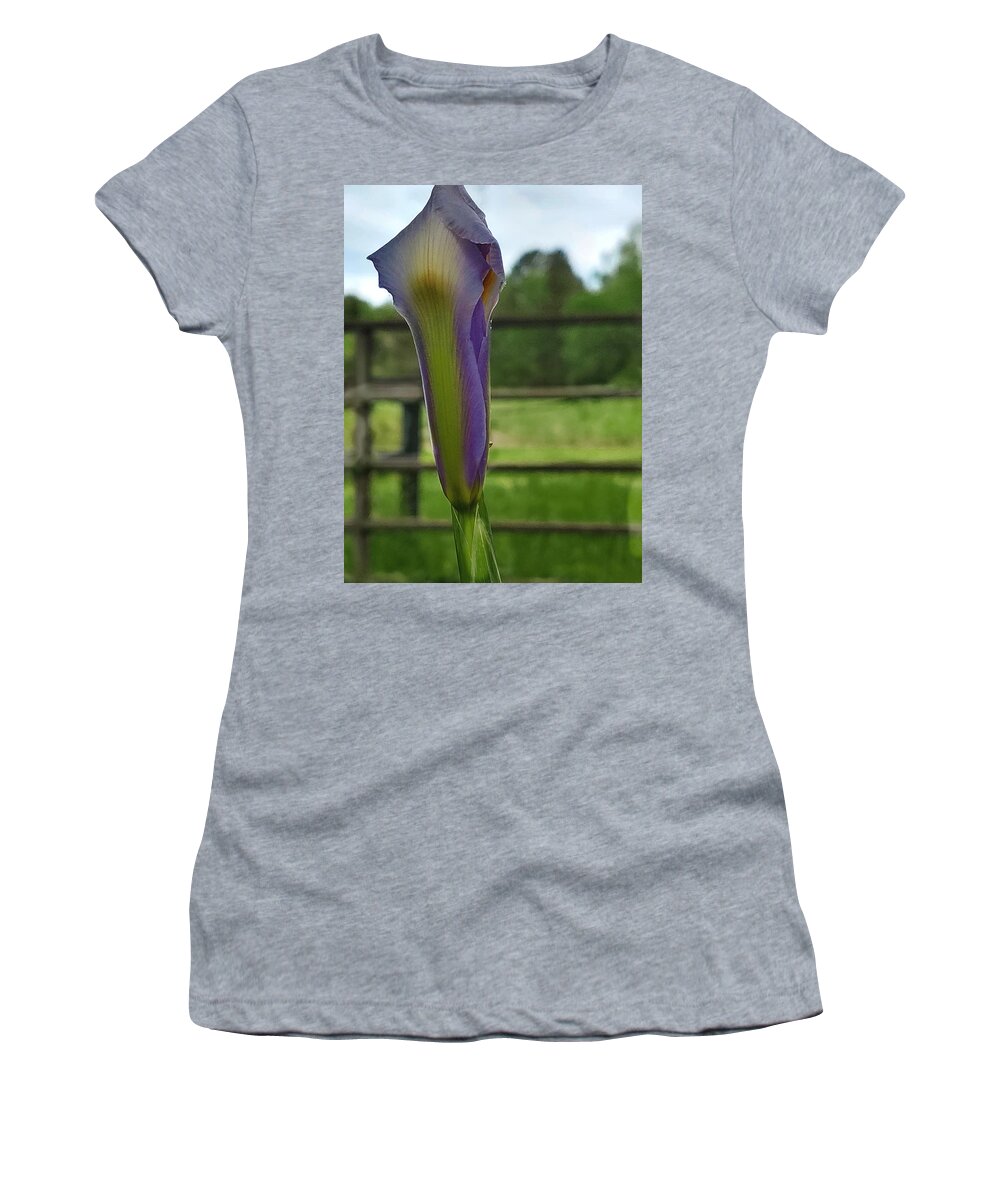 Iris Bud Women's T-Shirt featuring the digital art Dutch Iris Birthday by Pamela Smale Williams