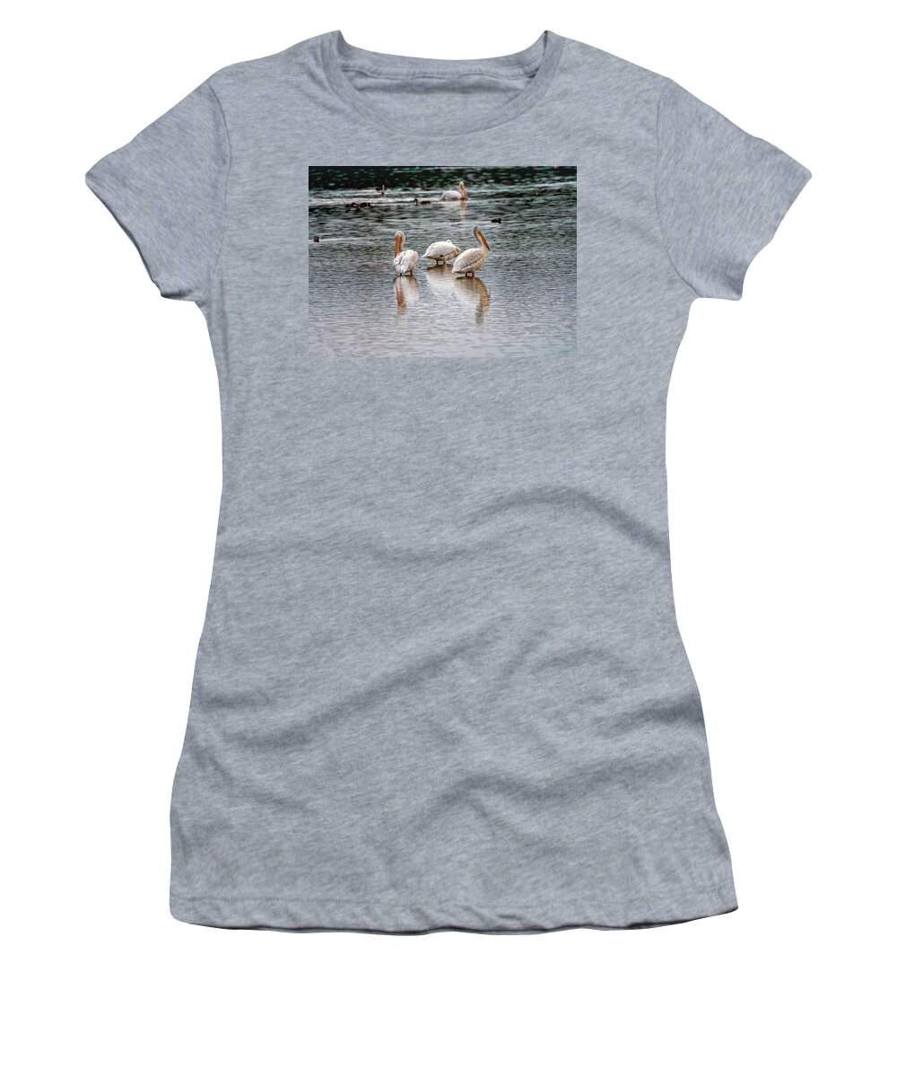 American White Pelican Women's T-Shirt featuring the photograph Early Morning Pelicans by Debra Martz