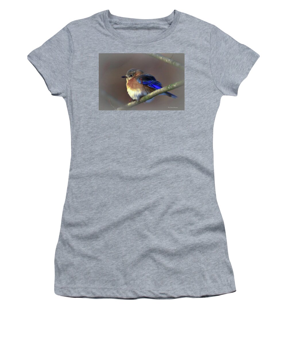 Bluebird Women's T-Shirt featuring the photograph Eastern Bluebird by Mary Walchuck