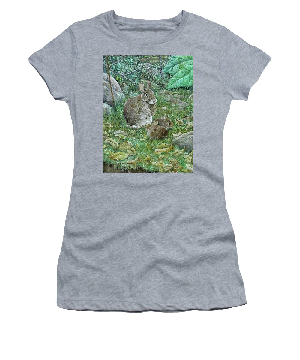 Eastern Cottontail Women's T-Shirt featuring the painting Eastern Cottontails by Barry Kent MacKay