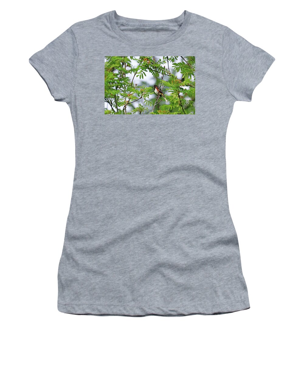 Eastern Towhee Women's T-Shirt featuring the photograph Eastern Towhee In Spring by Debbie Oppermann