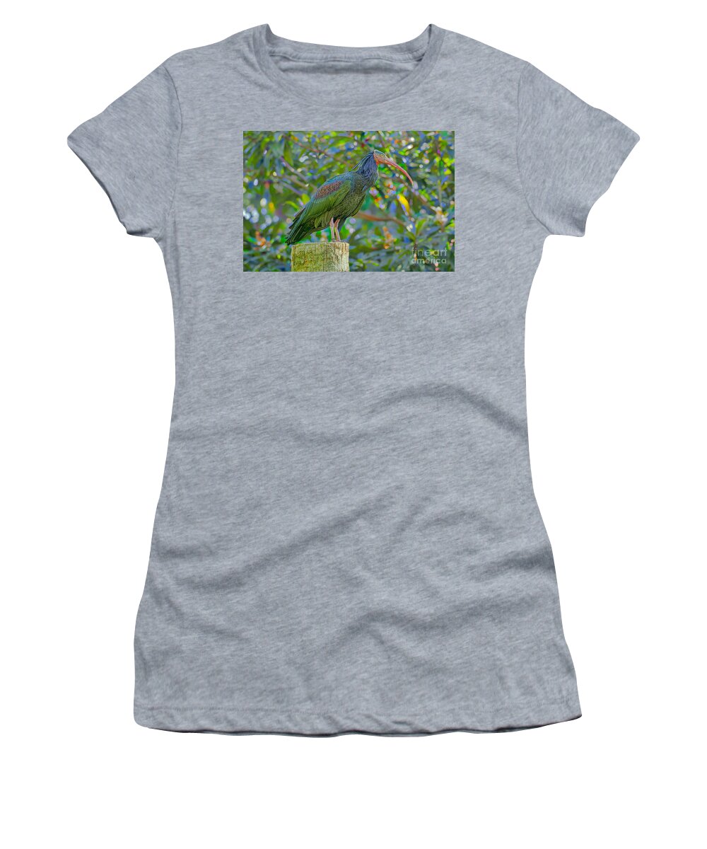 Asian Crested Ibis Women's T-Shirt featuring the photograph Eclectric by Judy Kay