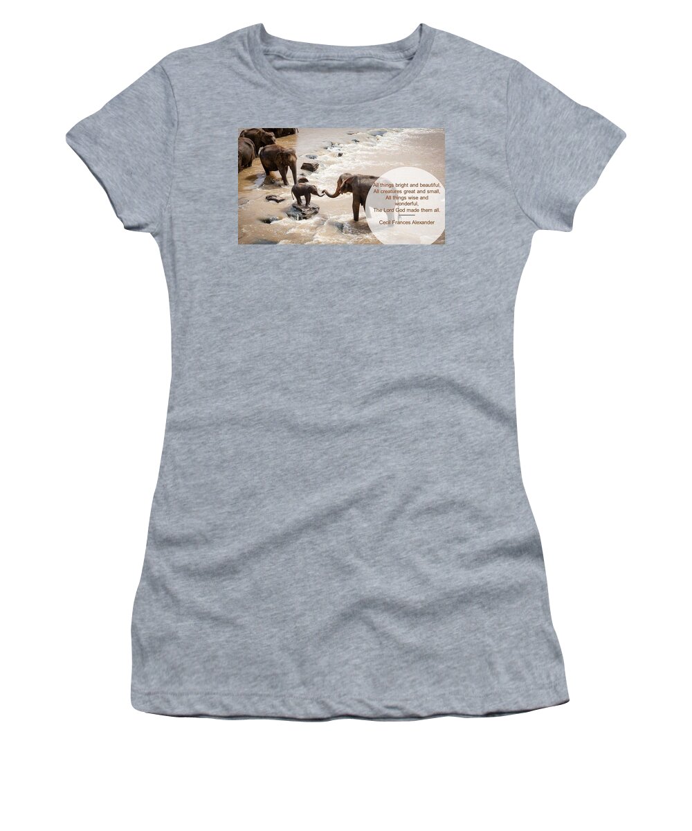 Elephants Women's T-Shirt featuring the photograph Elephants All Creatures Great and Small by Nancy Ayanna Wyatt