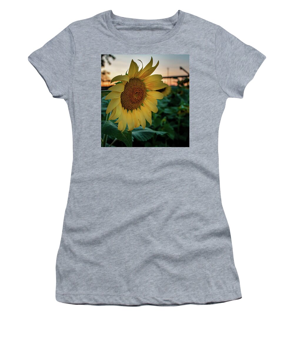 Landscape Women's T-Shirt featuring the photograph Evening Flower by Jamie Tyler