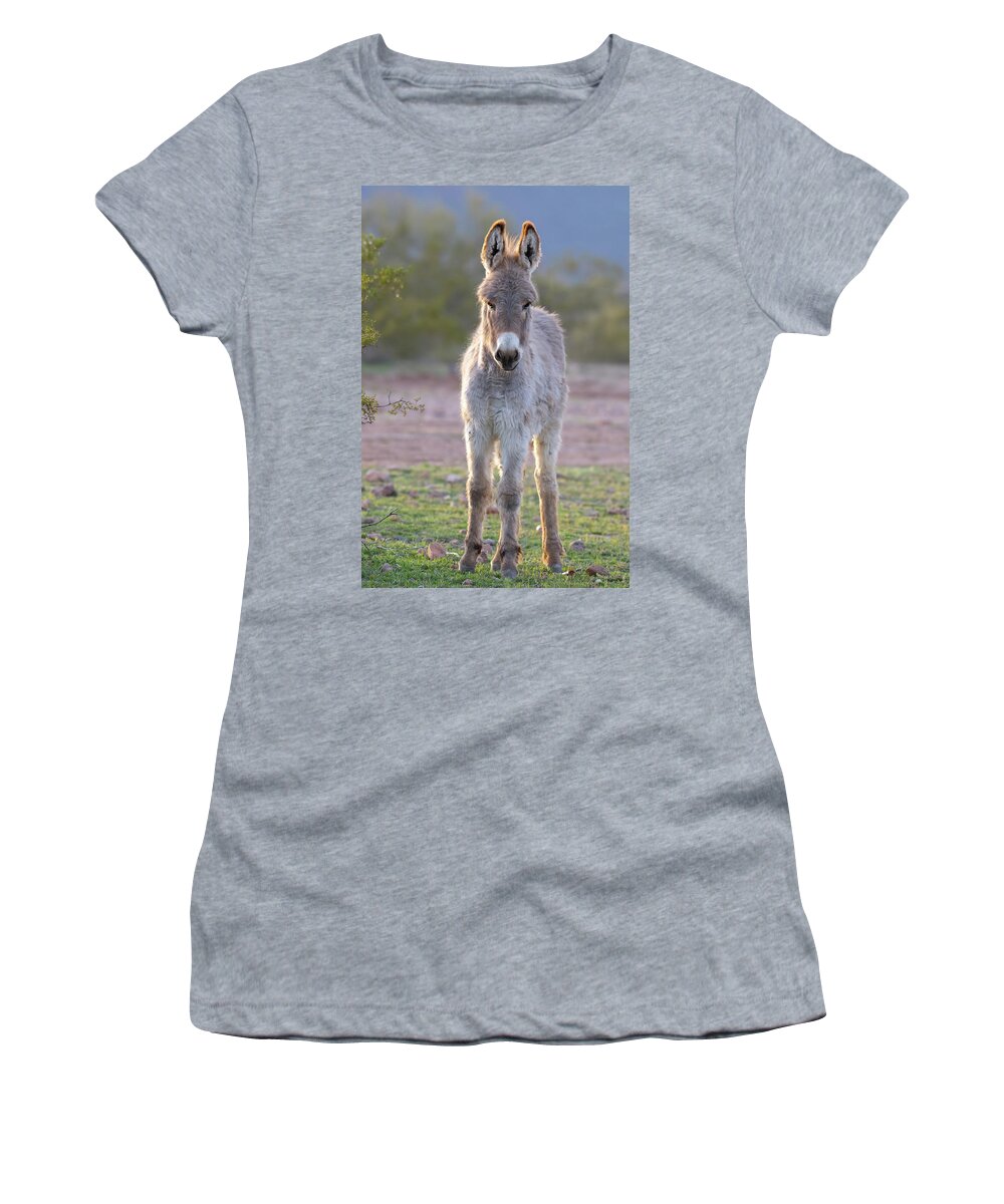 Wild Burro Women's T-Shirt featuring the photograph Evening Friend by Mary Hone