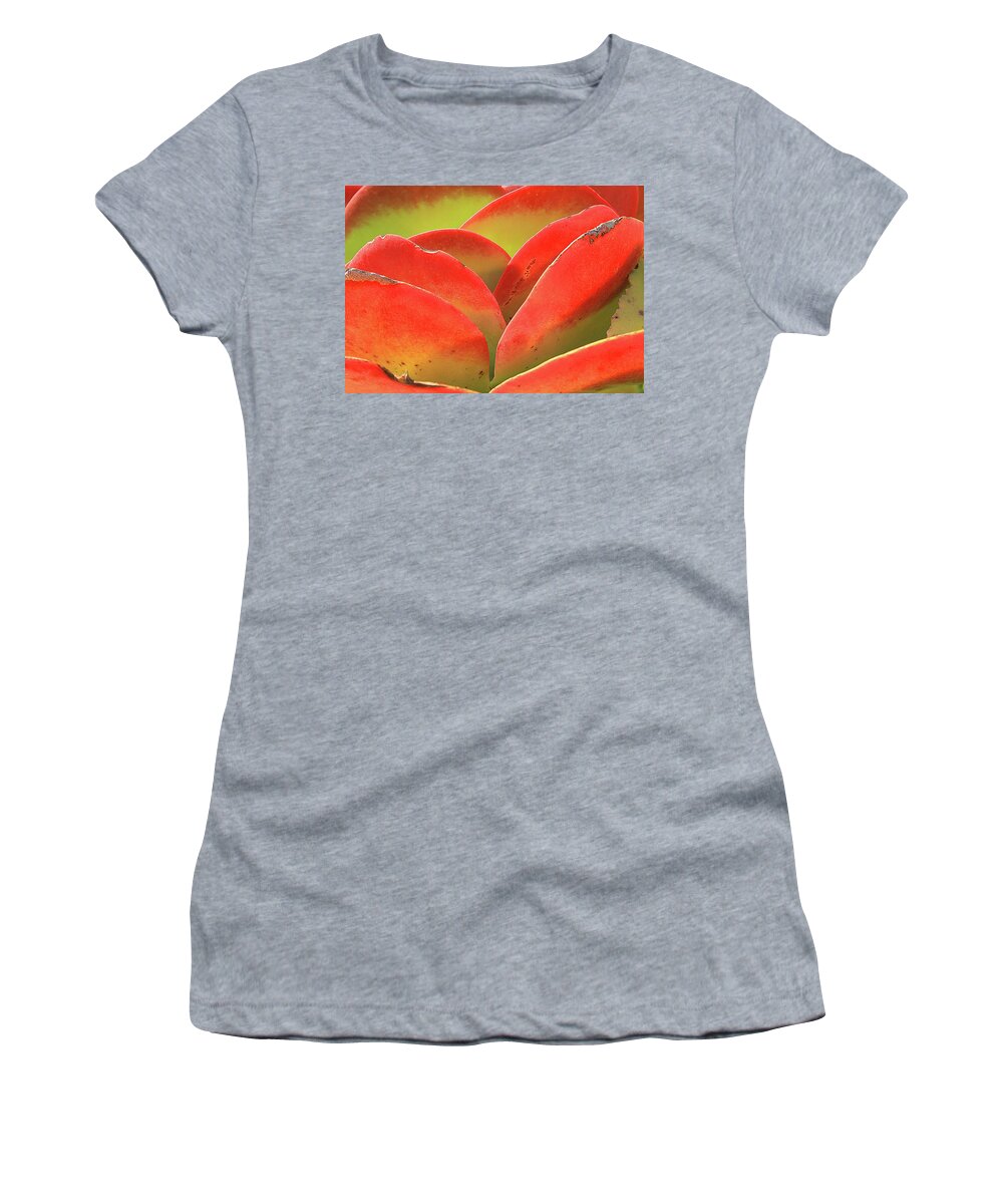 Flower Women's T-Shirt featuring the photograph Exotic Succulent by Tina M Daniels  Whiskey Birch Studios