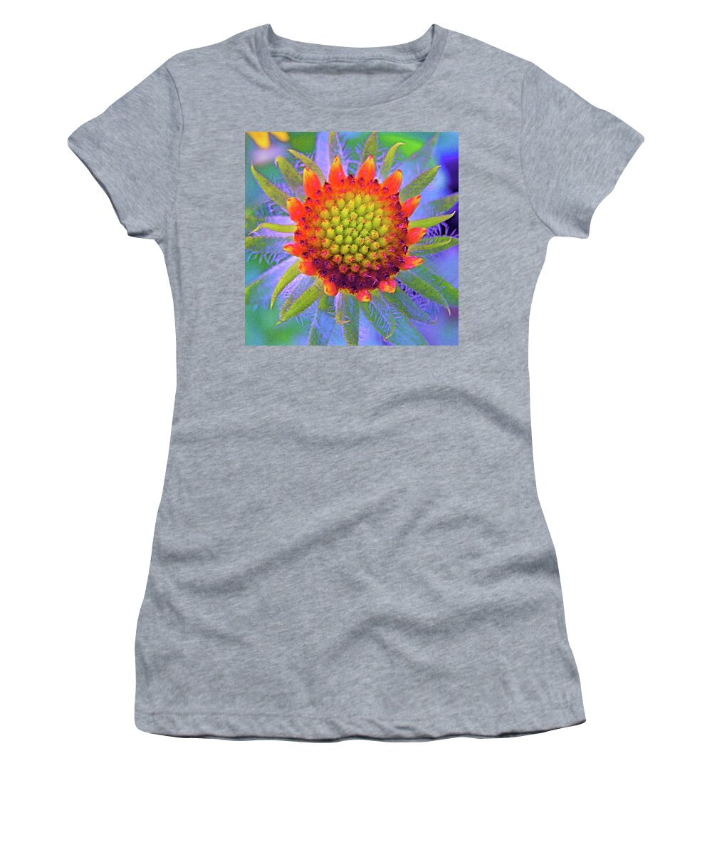  Women's T-Shirt featuring the photograph Eye Candy by Dorsey Northrup